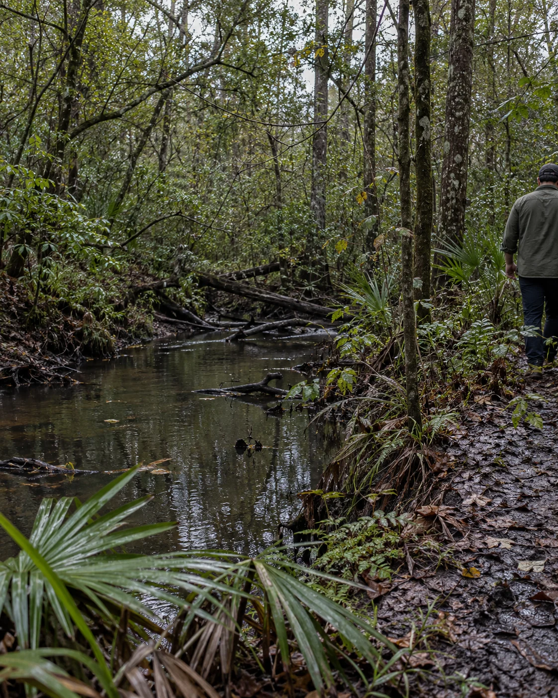 A person walks a muddy path beside a dark creek and dense trees.
