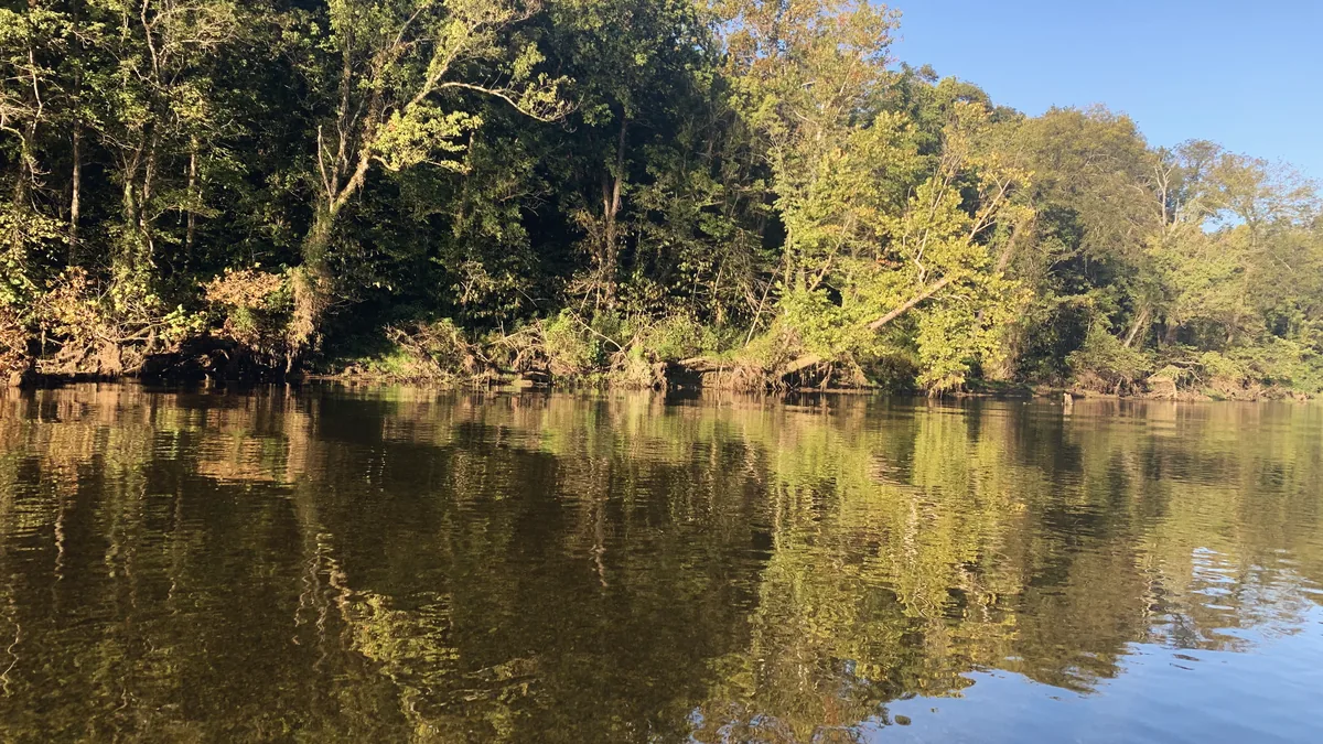 A wooded riverbank in autumn sun, the trees reflected in still brown water.
