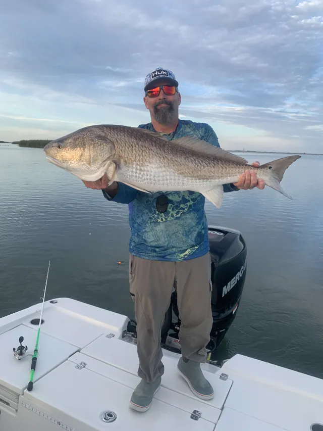 An angler on the deck lifts a bull redfish over flat water, the outboard behind him.