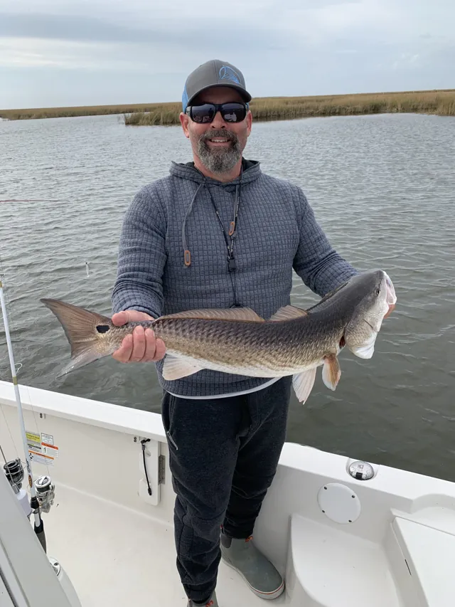 An angler in a grey hoodie holds a redfish out from the boat.